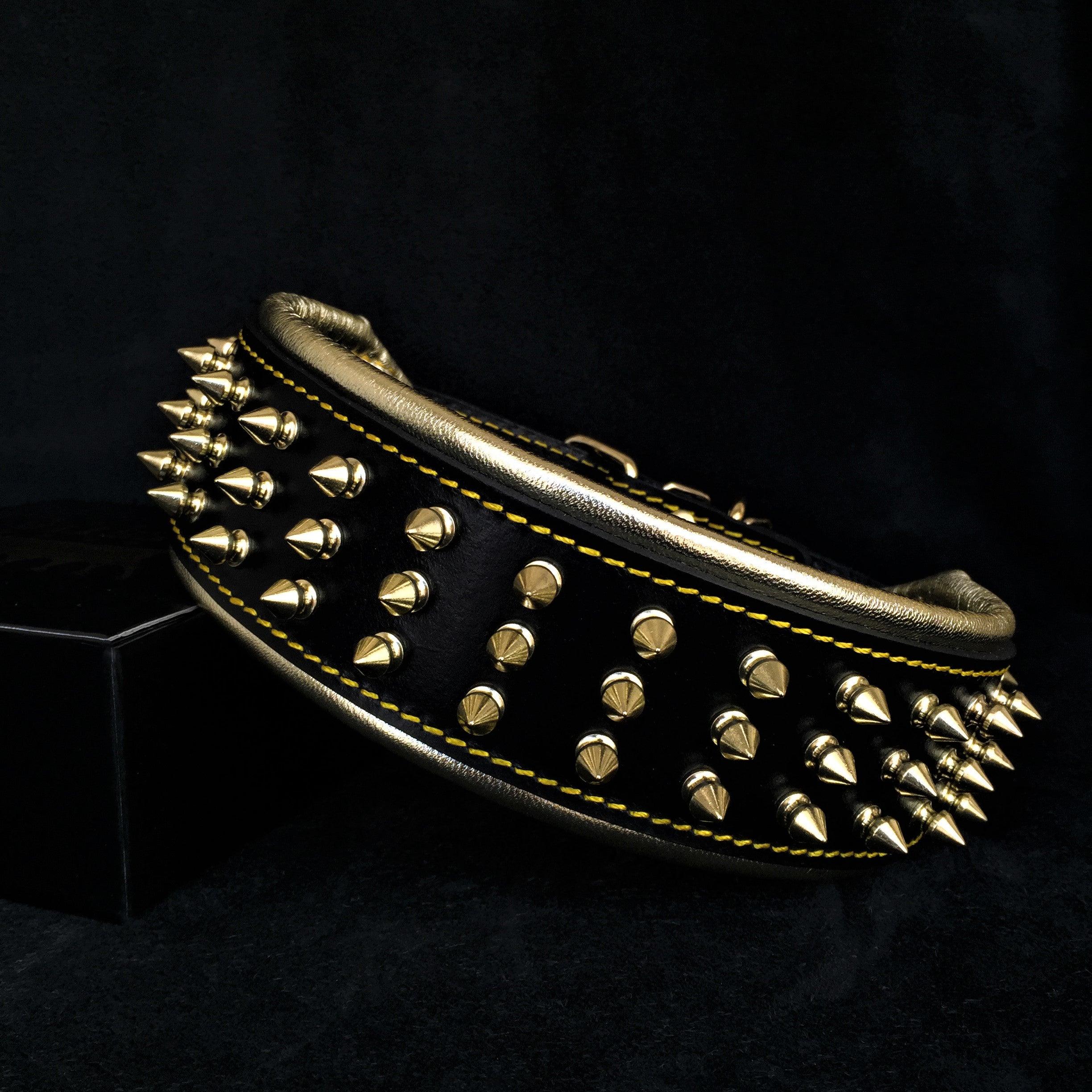 The "Gold Giant" Dog Collar