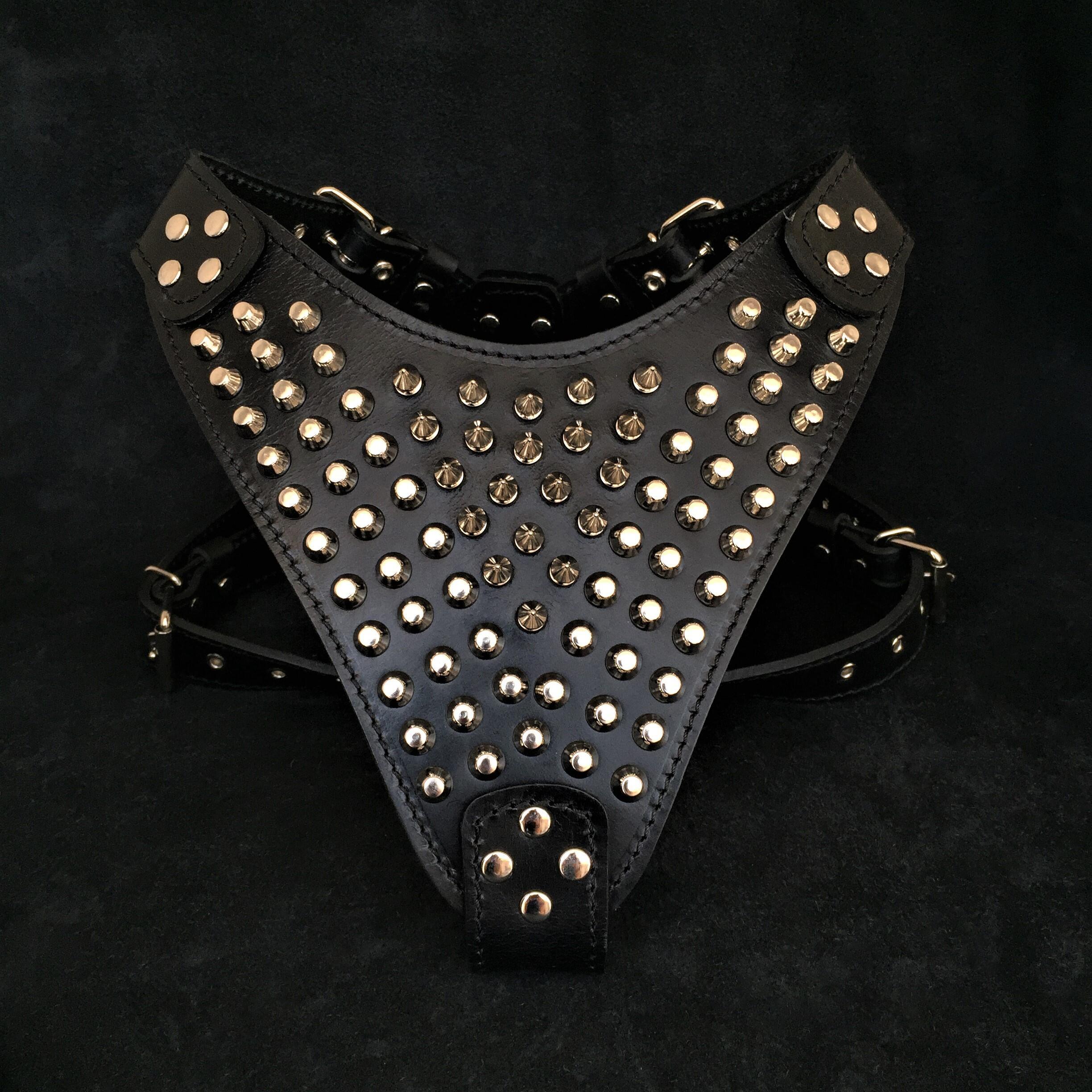 The "Gladiator" Dog Harness