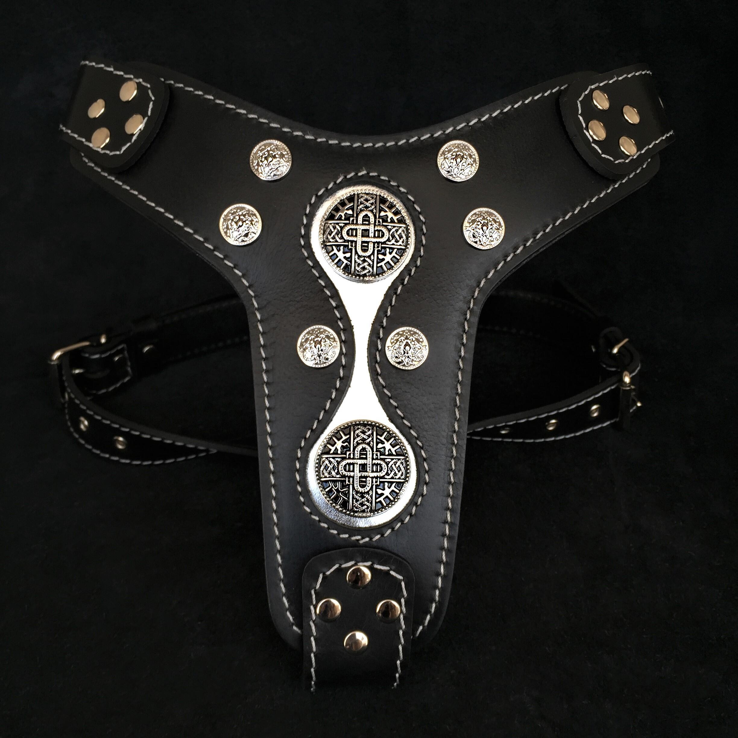 The "Hektor" Dog Harness