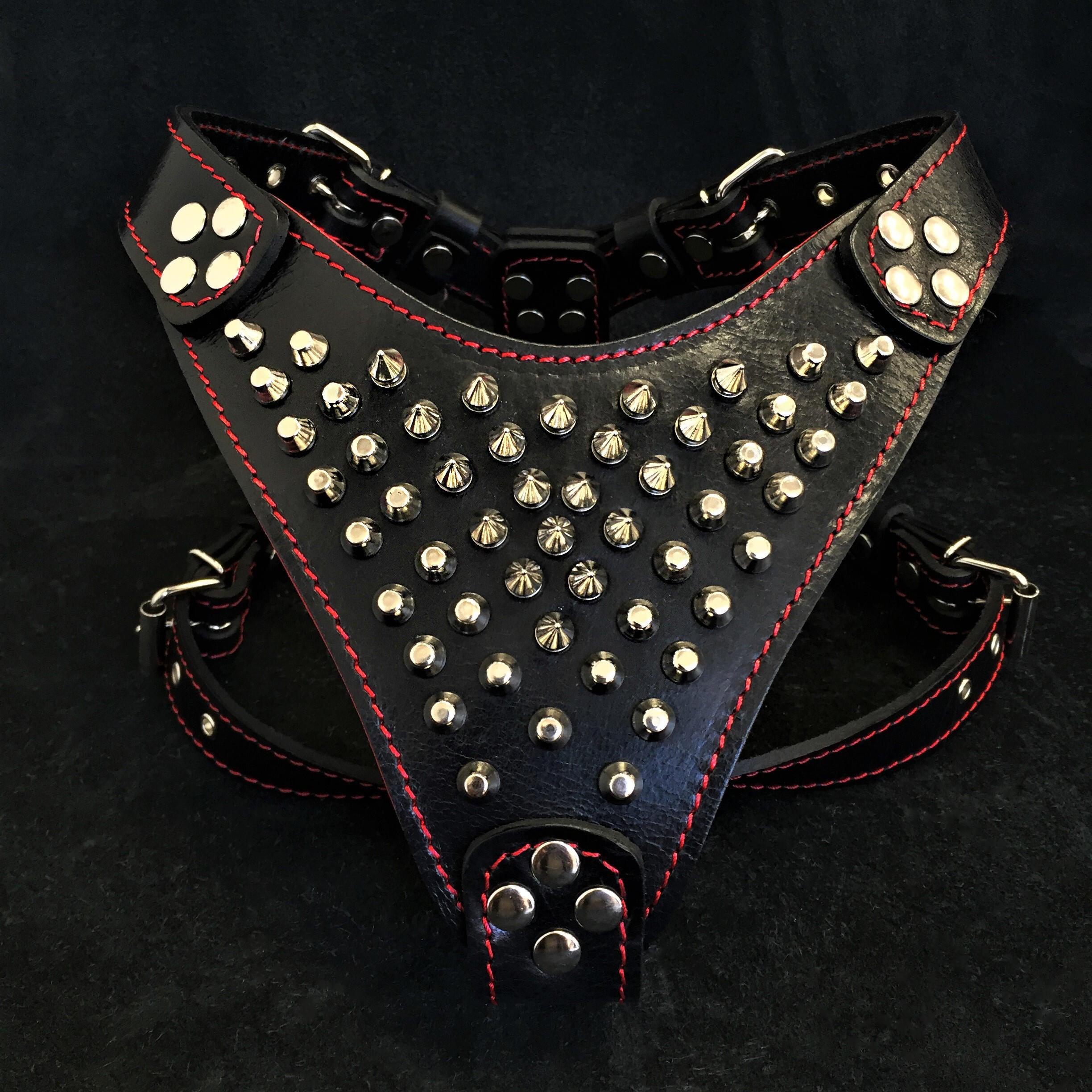 "Frenchie" Studded Leather Dog Harness for Small to Medium Breeds