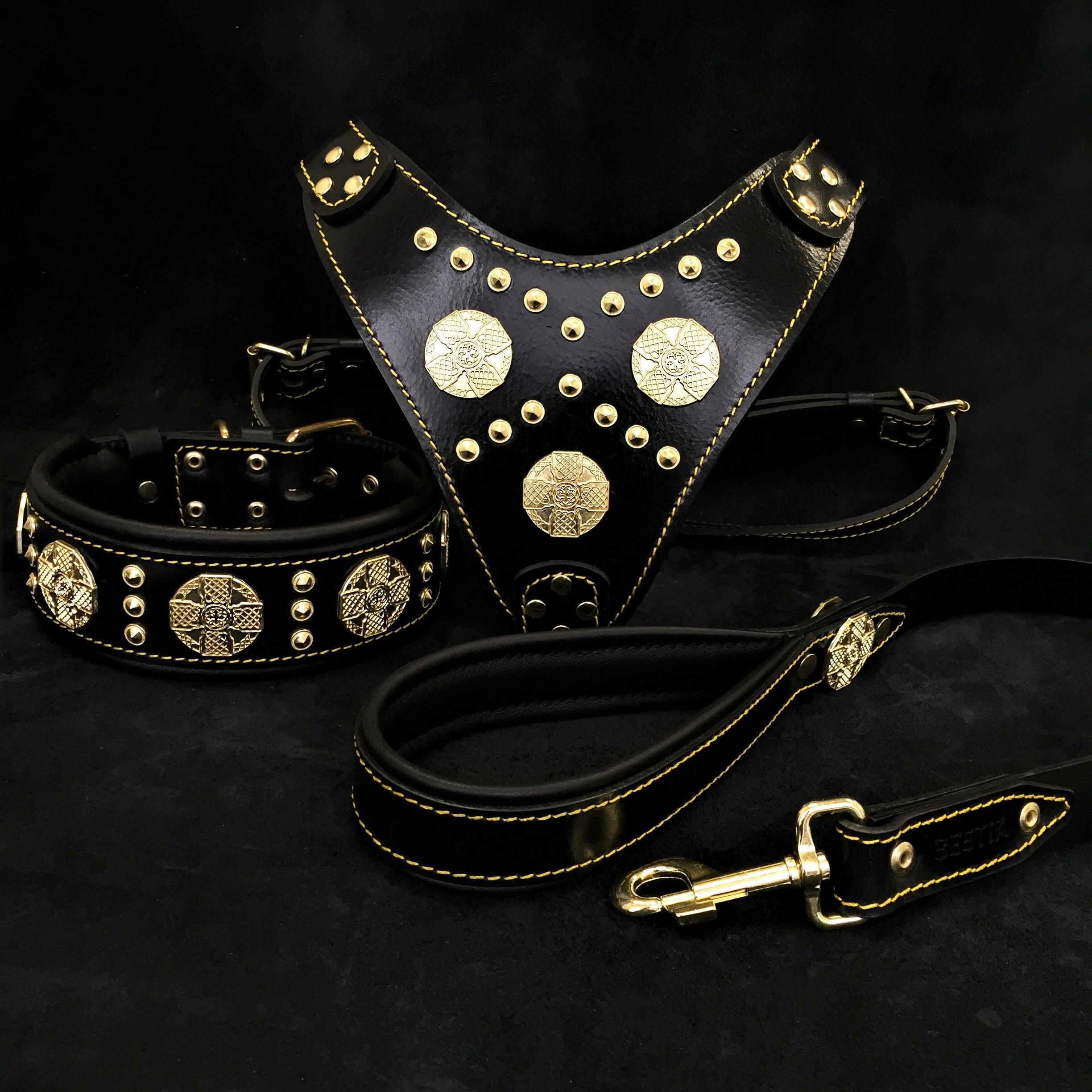 "Maximus Black" Big Dog SET- Harness - Collar - Lead. Brass Rivets