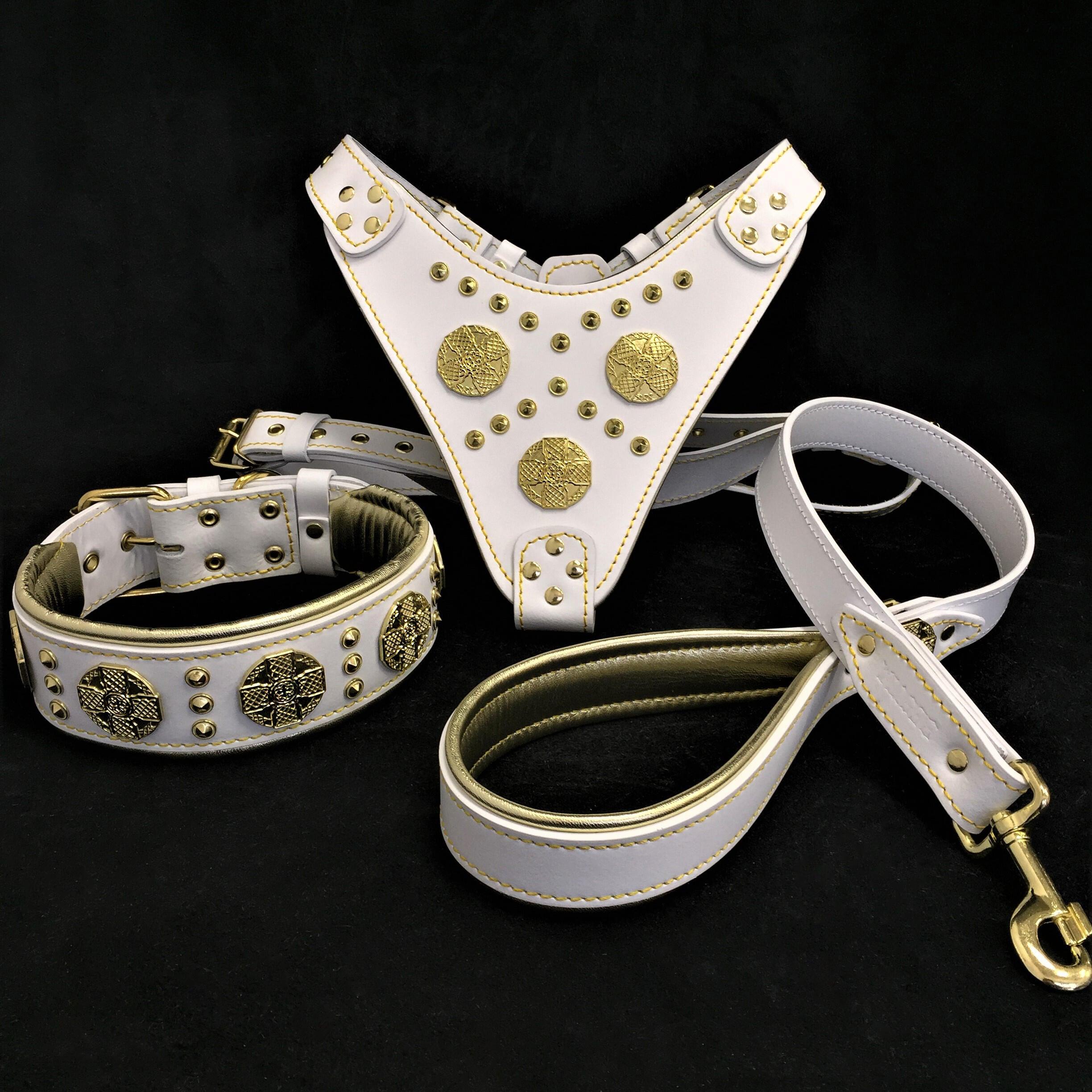 "Maximus White" Big Dog SET- Harness - Collar - Lead. Brass Rivets