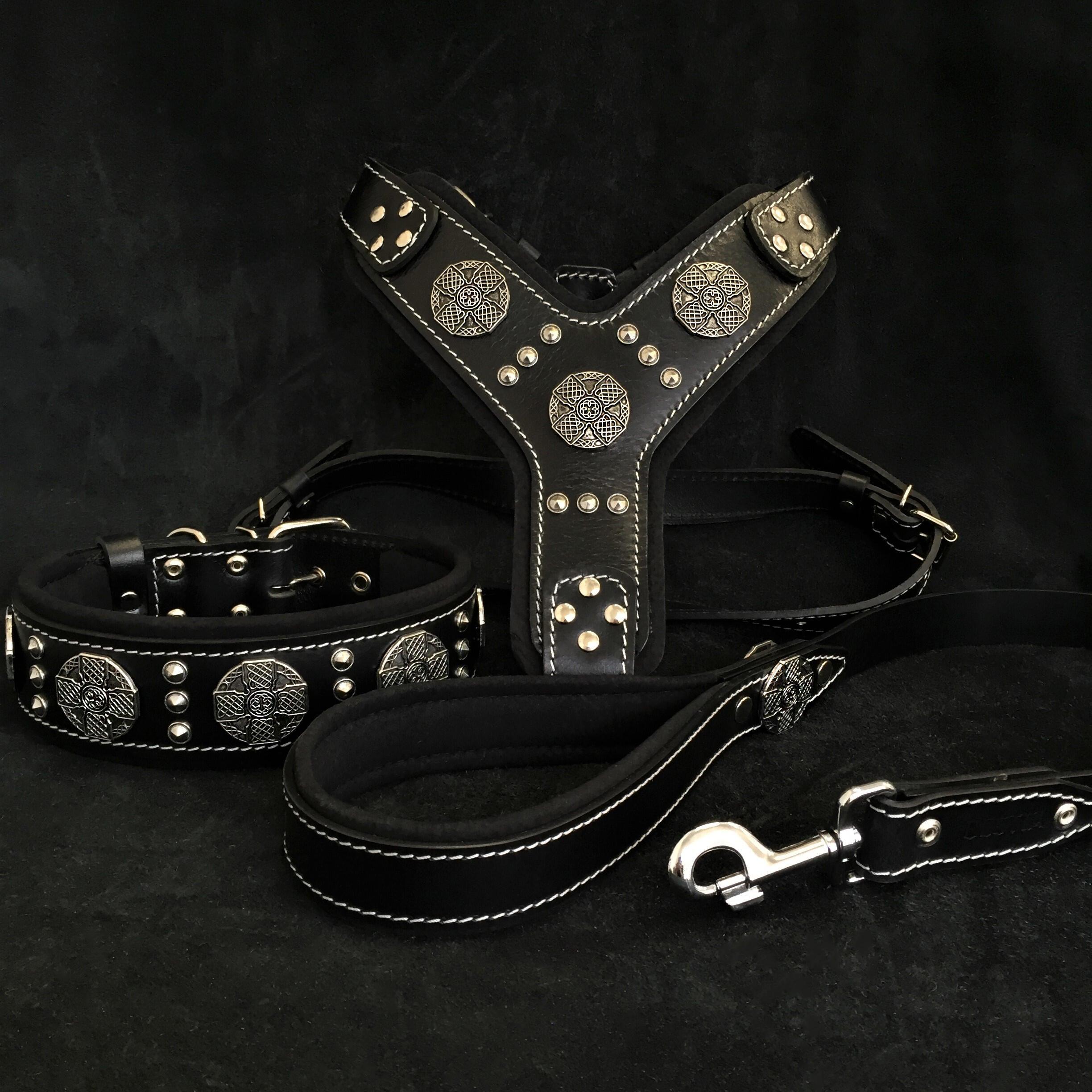 "Maximus Silver" Big Dog SET- Harness - Collar - Lead. Black