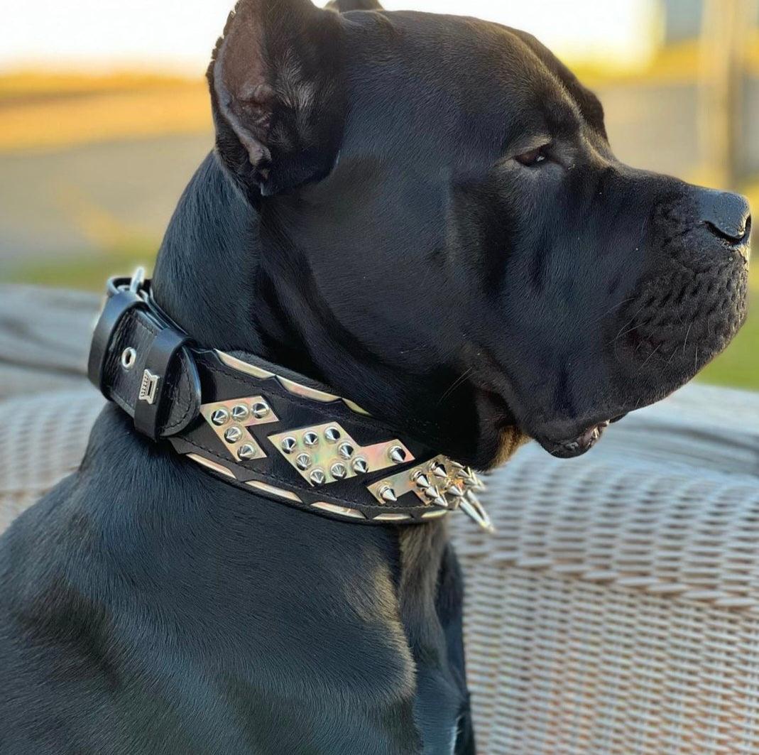 The "Midas" Dog Collar Silver