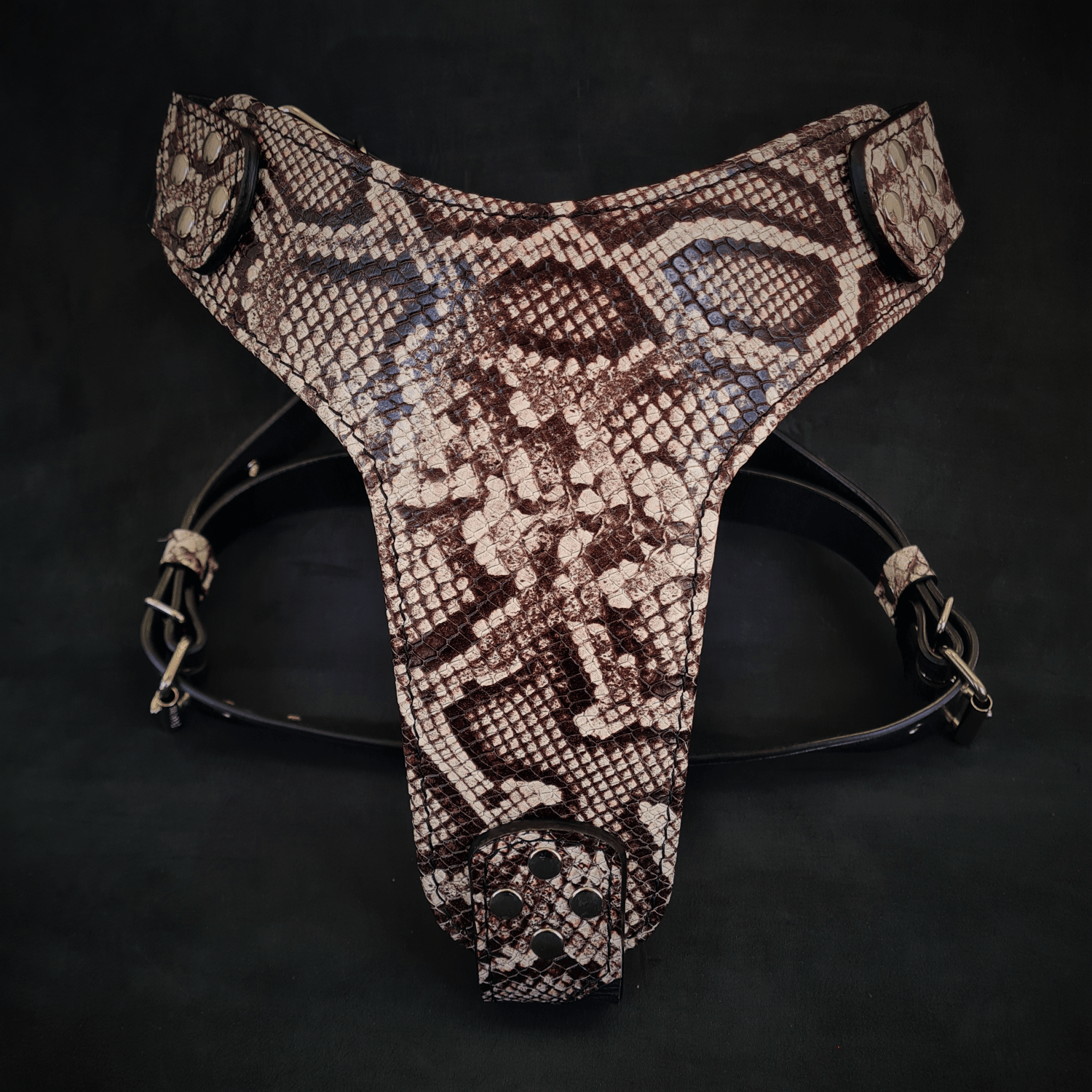 The "Rock Python" Dog Harness