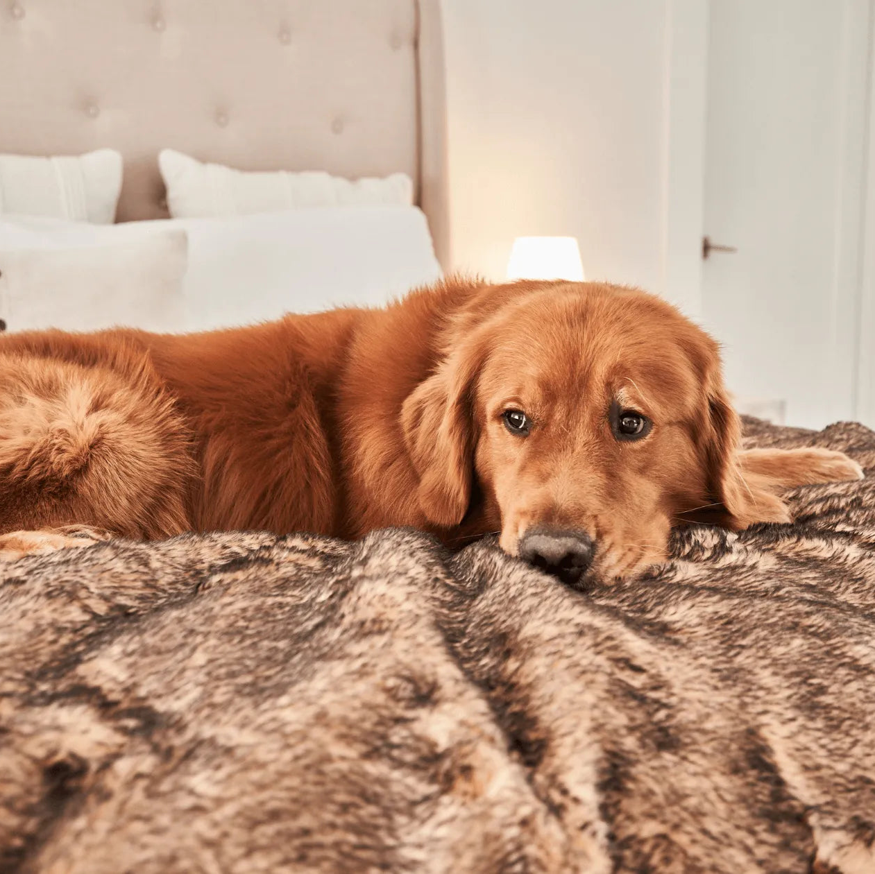 PupProtector™ Short Fur Waterproof Throw Blanket - Sable Tan