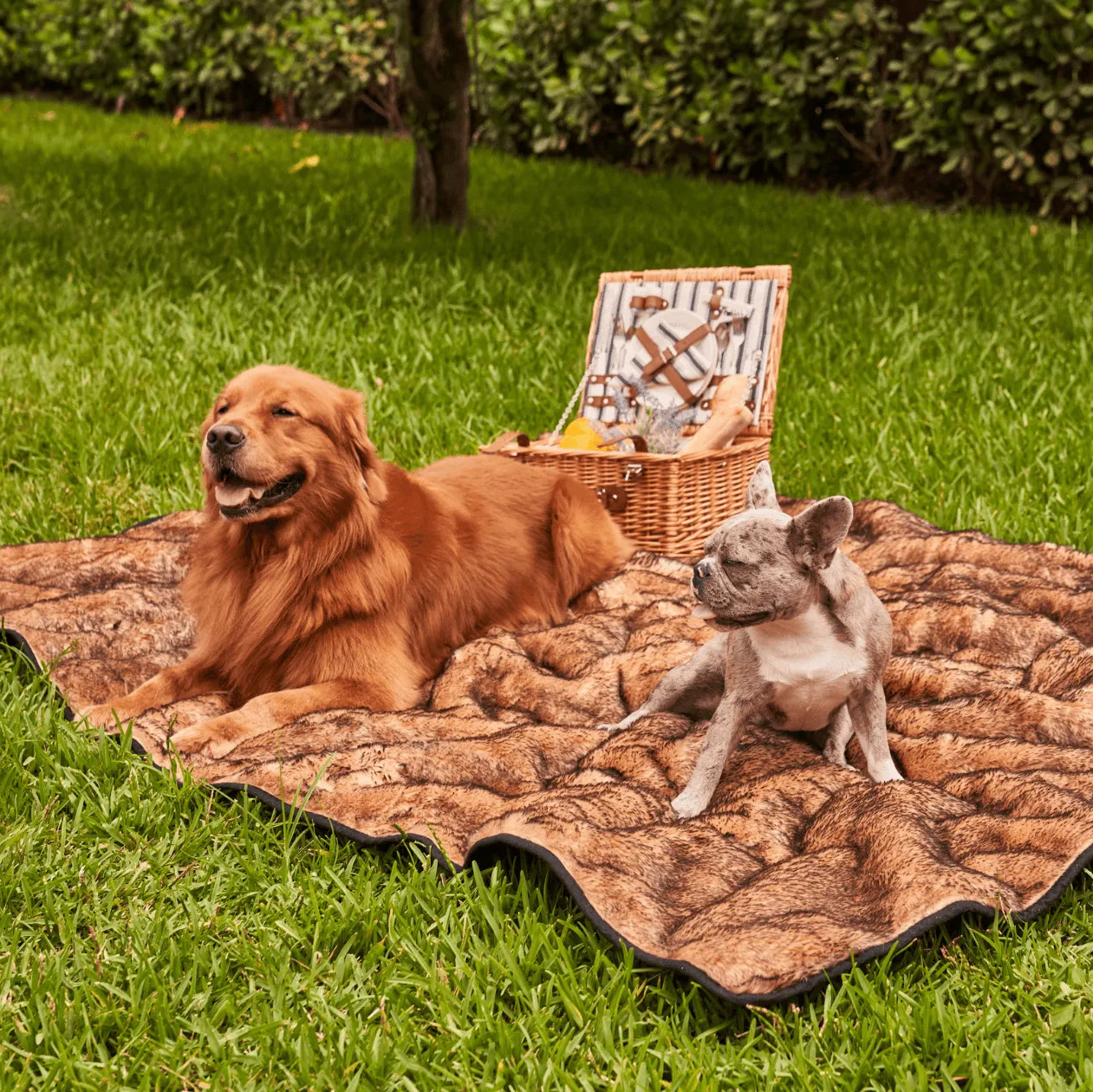 PupProtector™ Short Fur Waterproof Throw Blanket - Sable Tan