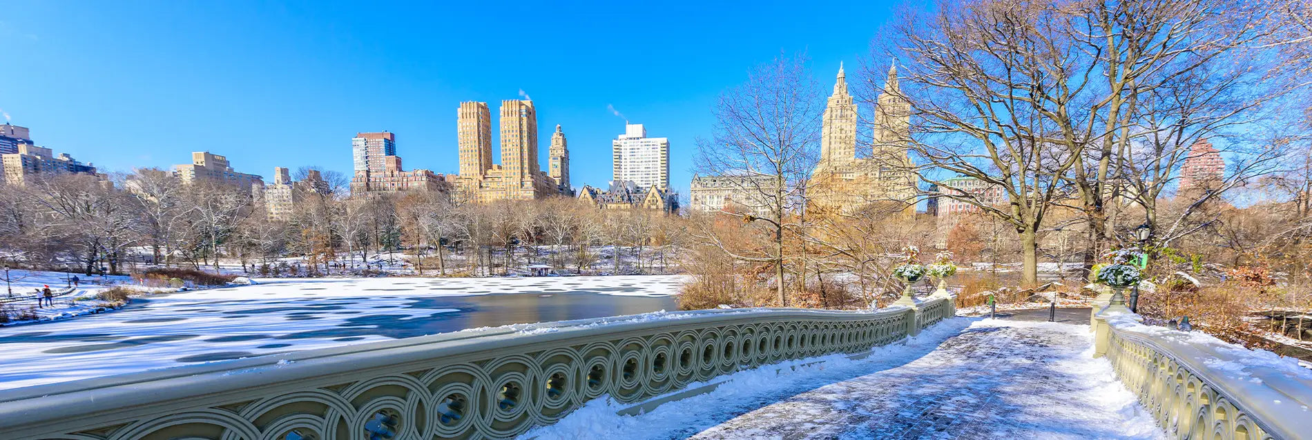Bow bridge in the winter at sunny day, Central Park, Manhattan, New York City, USA