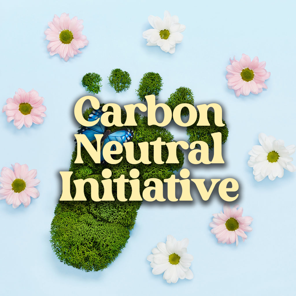carbon neutral emissions blog post