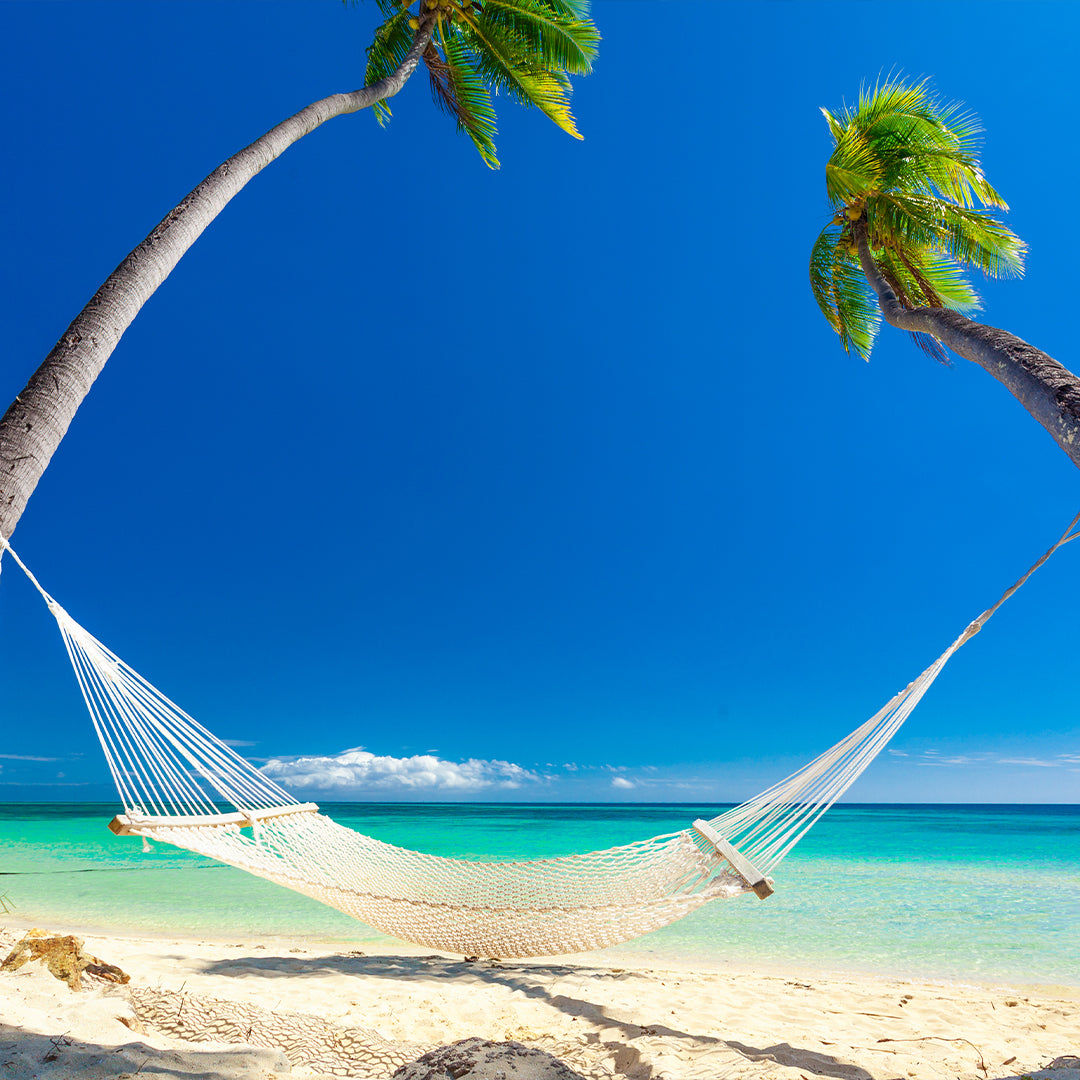 Hammock on the beach of fiji