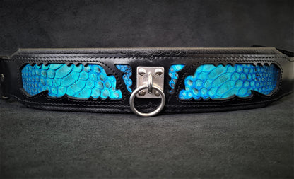The "Morelia Python" Dog Collar