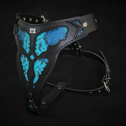 The "Morelia Python" Dog Harness