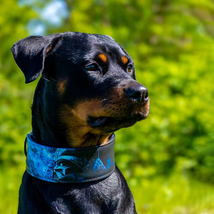 The "Vader" Limited Dog Collar