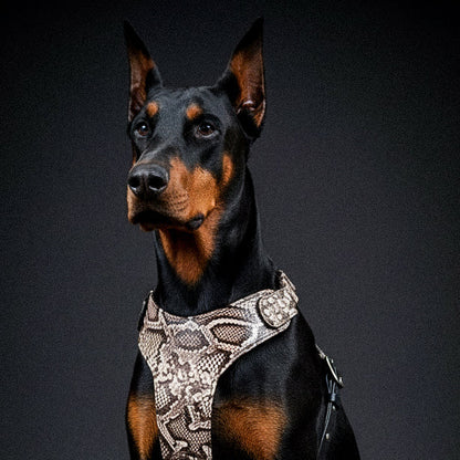 The "Rock Python" Dog Harness