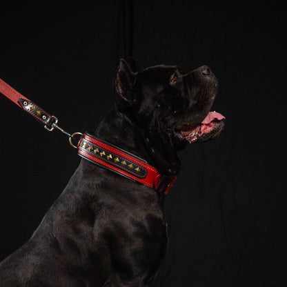 The "Balteus" Dog Collar. Red