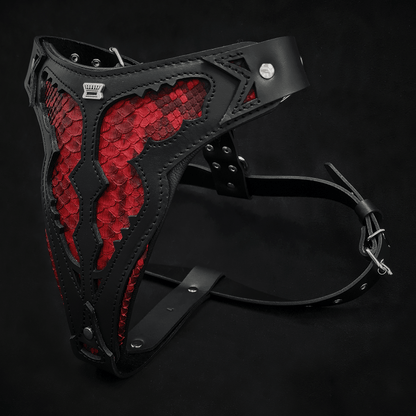The "Red Dragon" Dog Harness