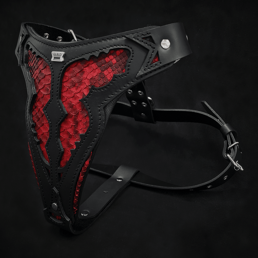 The "Red Dragon" Dog Harness