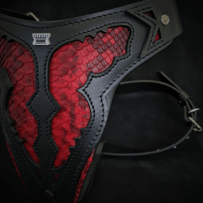 The "Red Dragon" Dog Harness