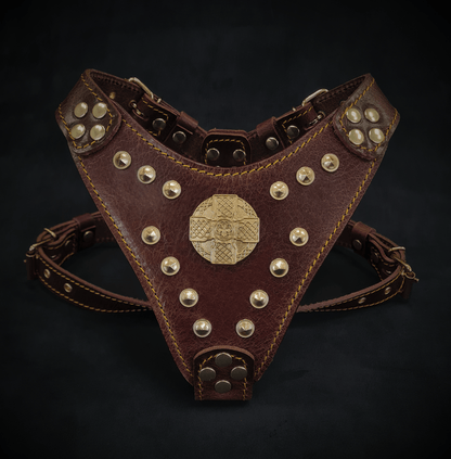 The ''Maximus'' Dog Harness for Small to Medium Breeds. Brown & Gold