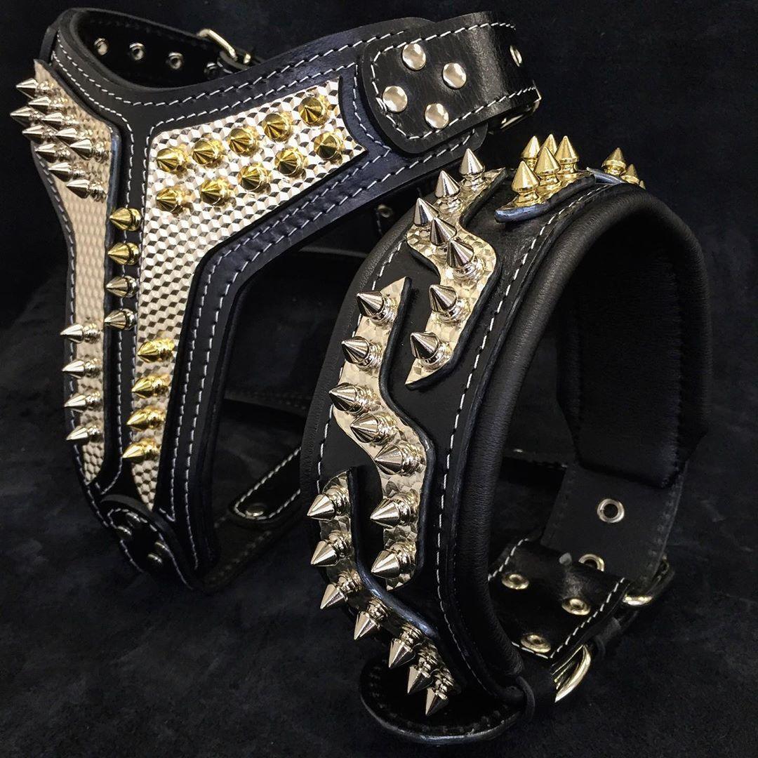The "Platinum" Dog Collar