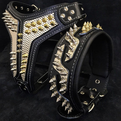 The "Platinum" Dog Collar