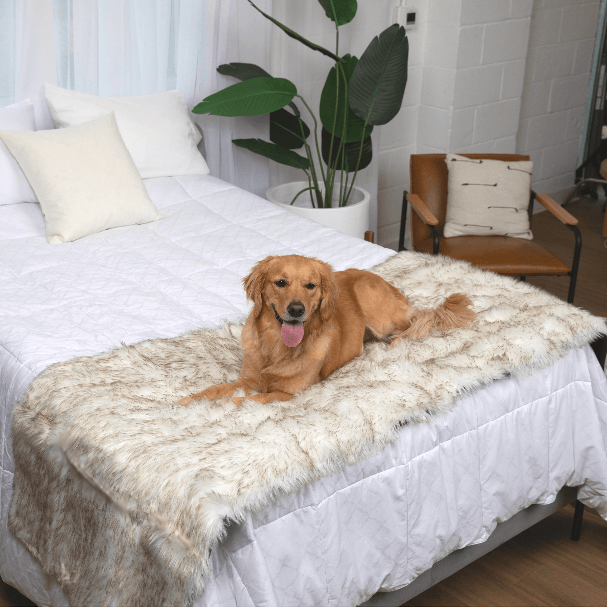 PupProtector™ Waterproof Bed Runner - White with Brown Accents