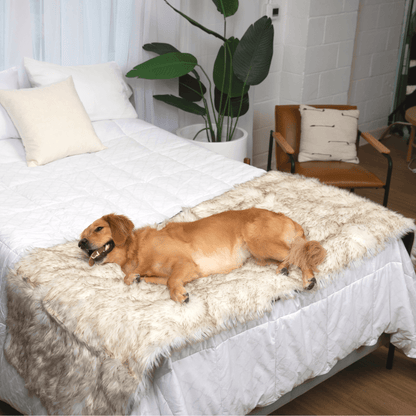 PupProtector™ Waterproof Bed Runner - White with Brown Accents