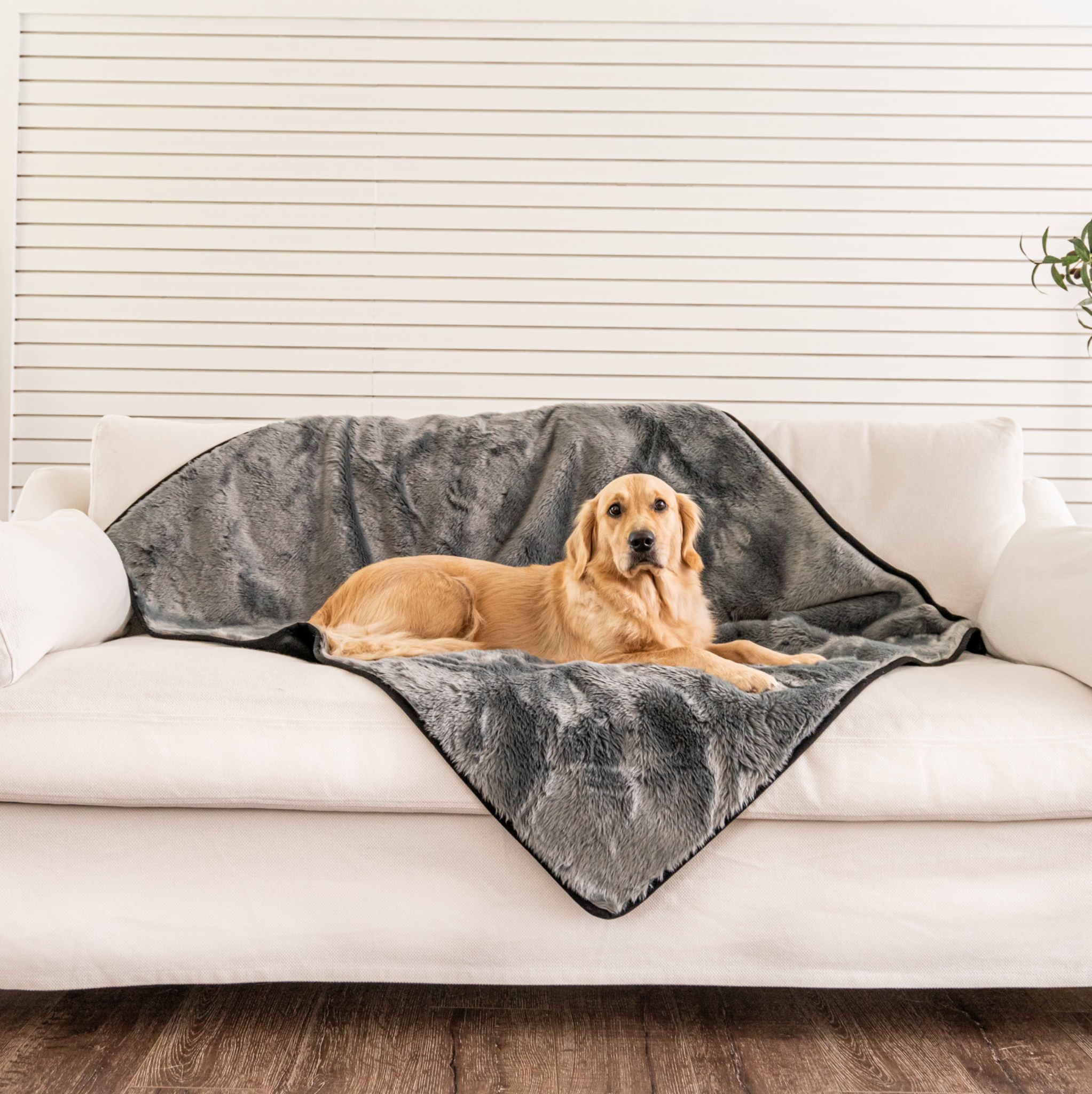 PupProtector™ Short Fur Waterproof Throw Blanket - Charcoal Grey