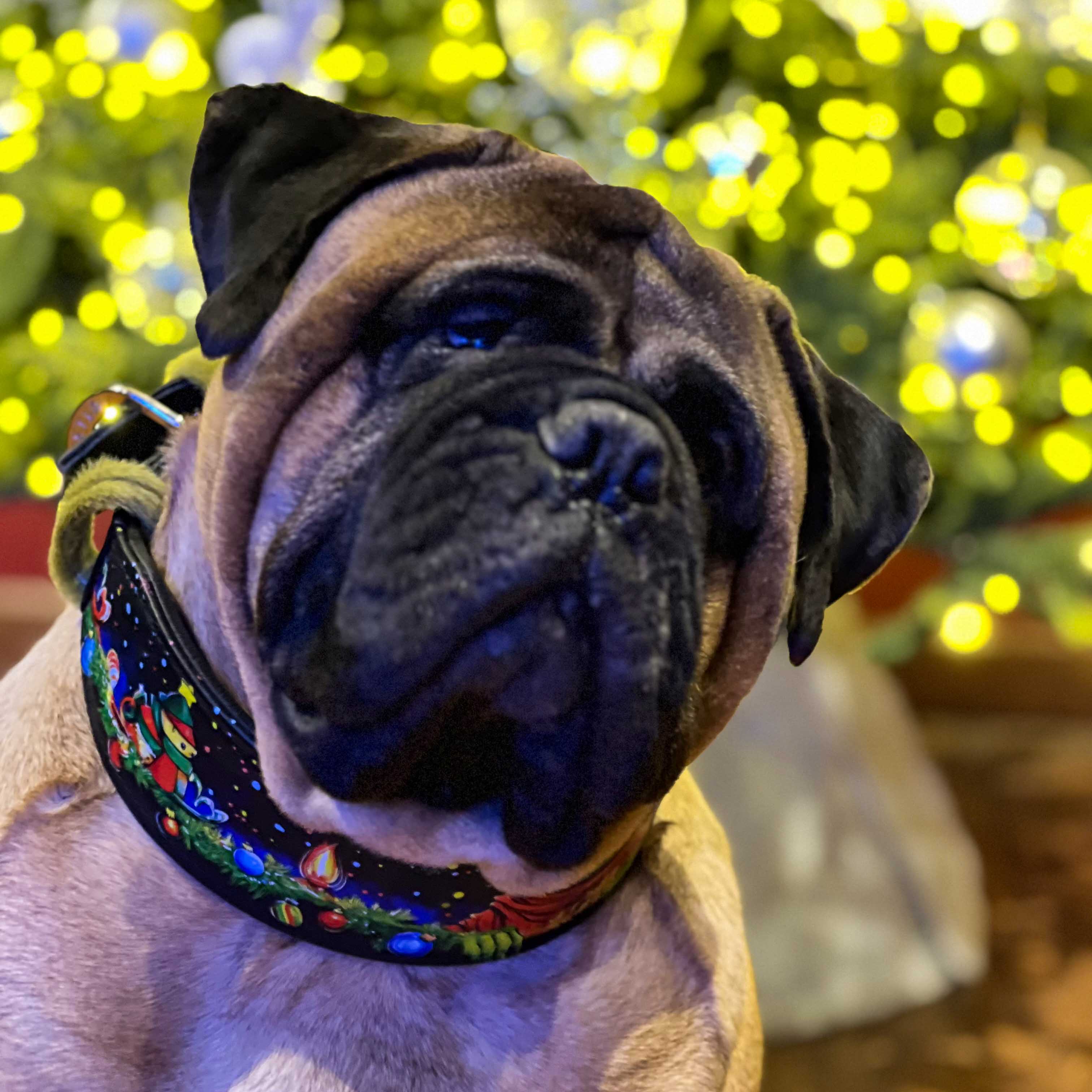 The "Grinch" Limited Dog Collar