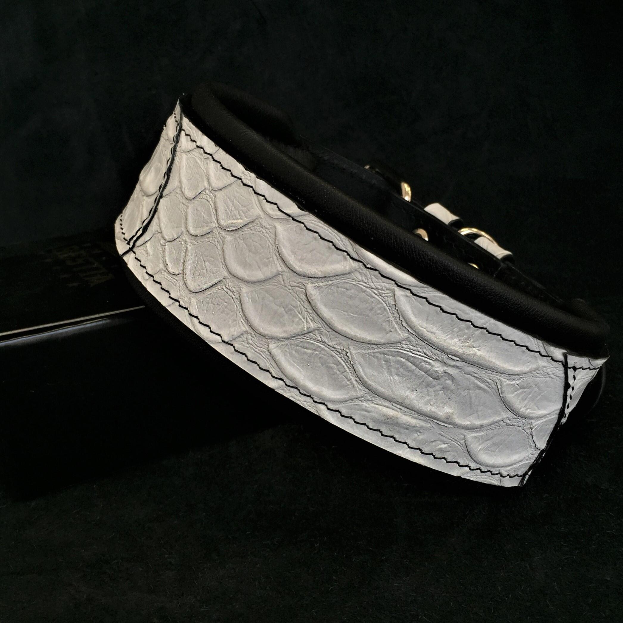 The "Dragon Scale" LIMITED Dog Collar Exclusive Design