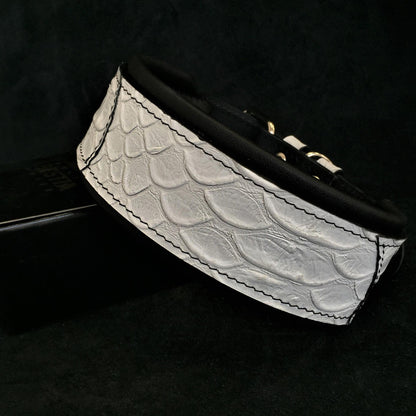 The "Dragon Scale" LIMITED Dog Collar Exclusive Design