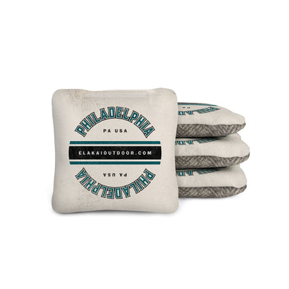 1ft x 2ft Gameday Teams Epoxy Resin Wood Compact Travel Cornhole Board Set