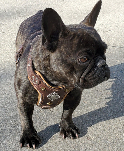 The "Aztec" Dog Harness Brown Small to Medium Breeds. Brown