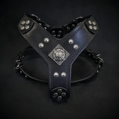 The "Eros" Dog Harness - Medium Size. Black