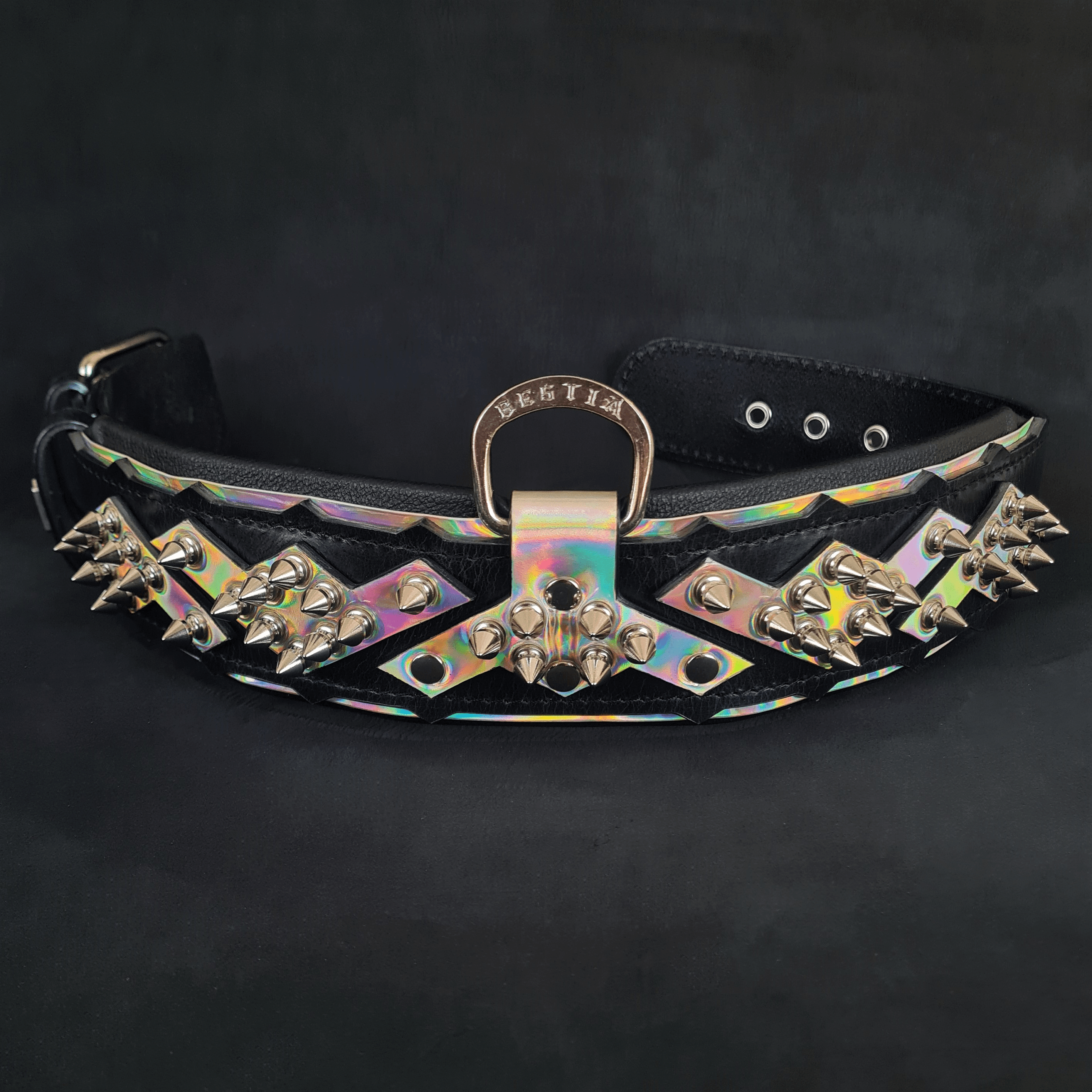 The "Midas" Dog Collar Silver