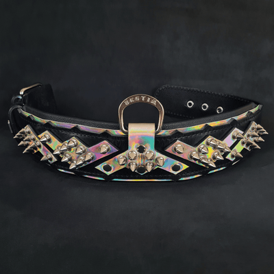 The "Midas" Dog Collar Silver