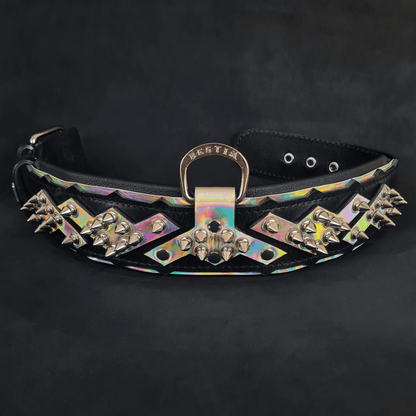 The "Midas" Dog Collar Silver