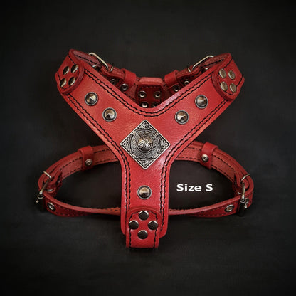 The "Eros" Dog Harness for Small to Medium Breeds. Red