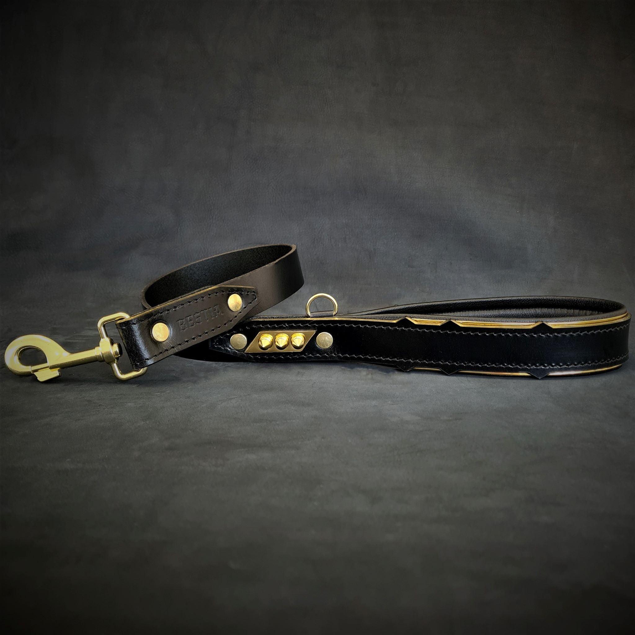 The "Midas" Dog Collar. Gold