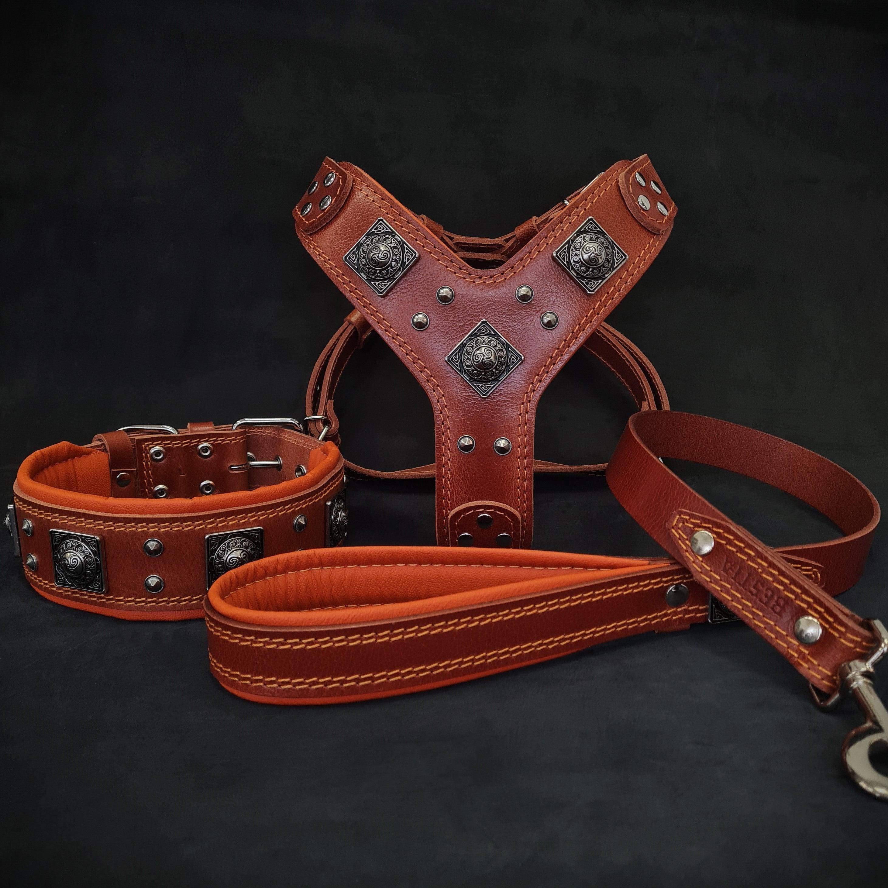 "Eros" Big Dog SET- Harness - Collar - Lead. Brown & Orange