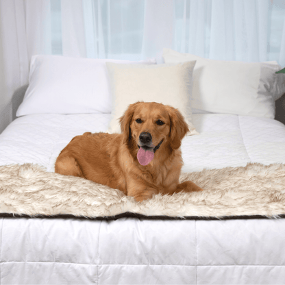 PupProtector™ Waterproof Bed Runner - White with Brown Accents