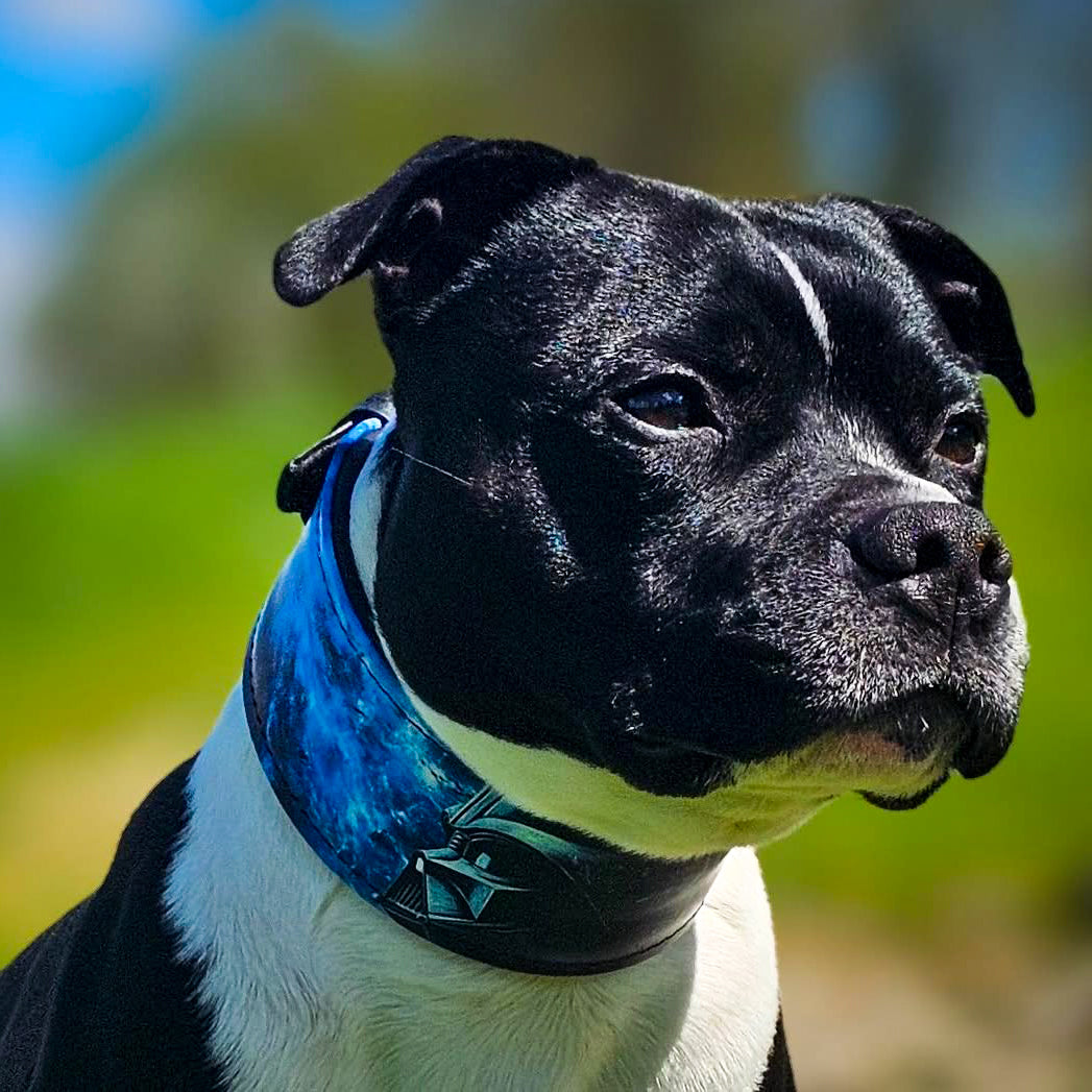 The "Vader" Limited Dog Collar