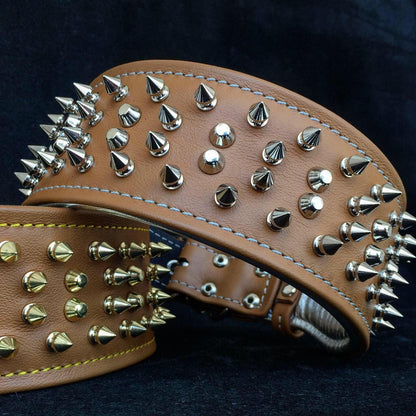 The "Crown" Dog Collar
