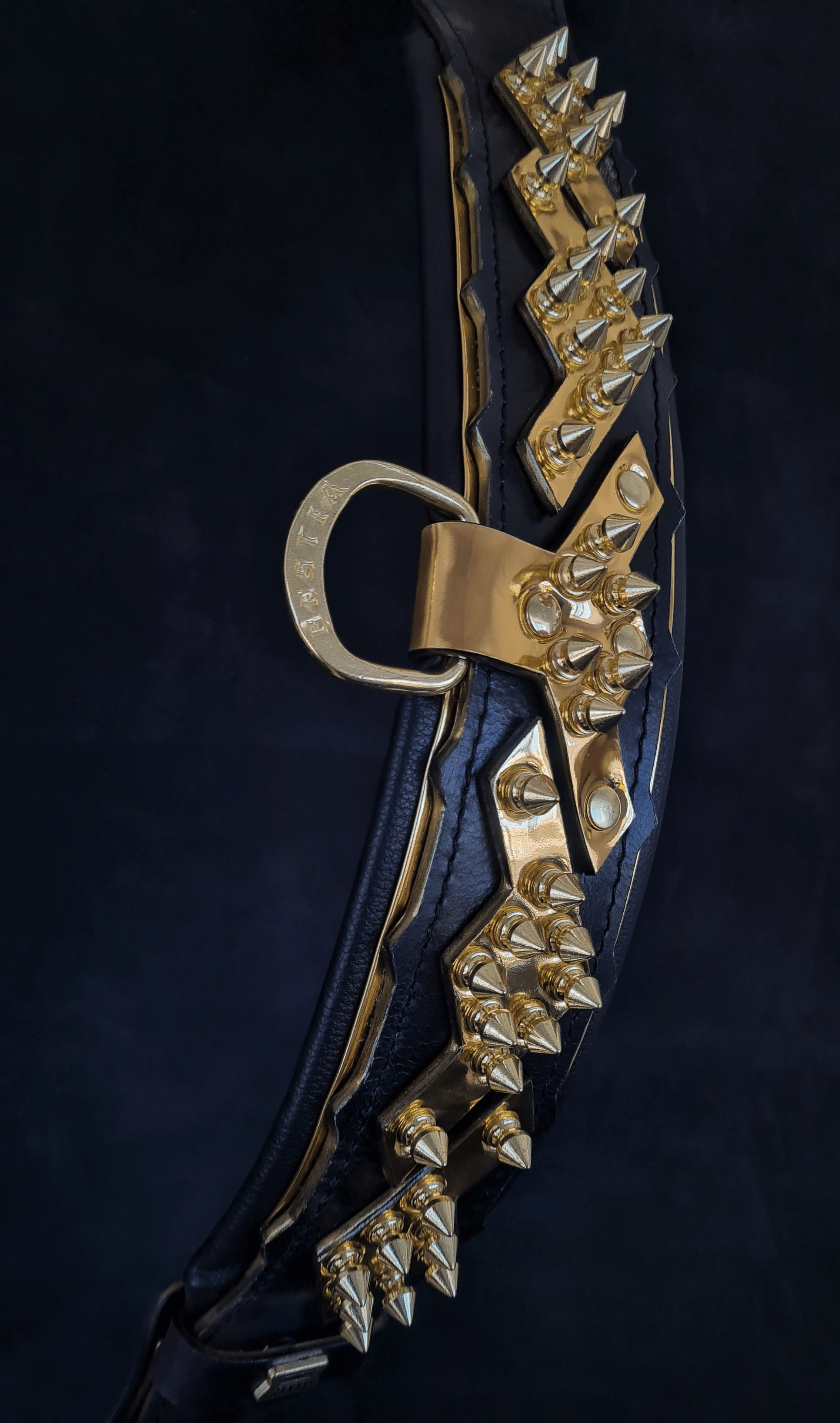 The "Midas" Dog Collar. Gold