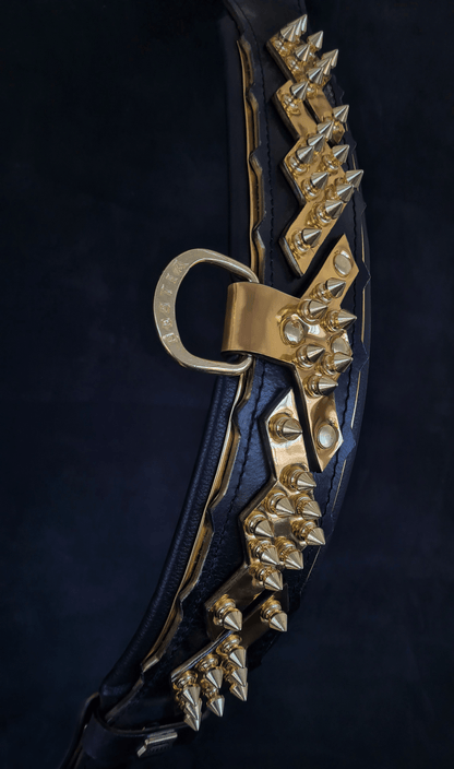 The "Midas" Dog Collar. Gold