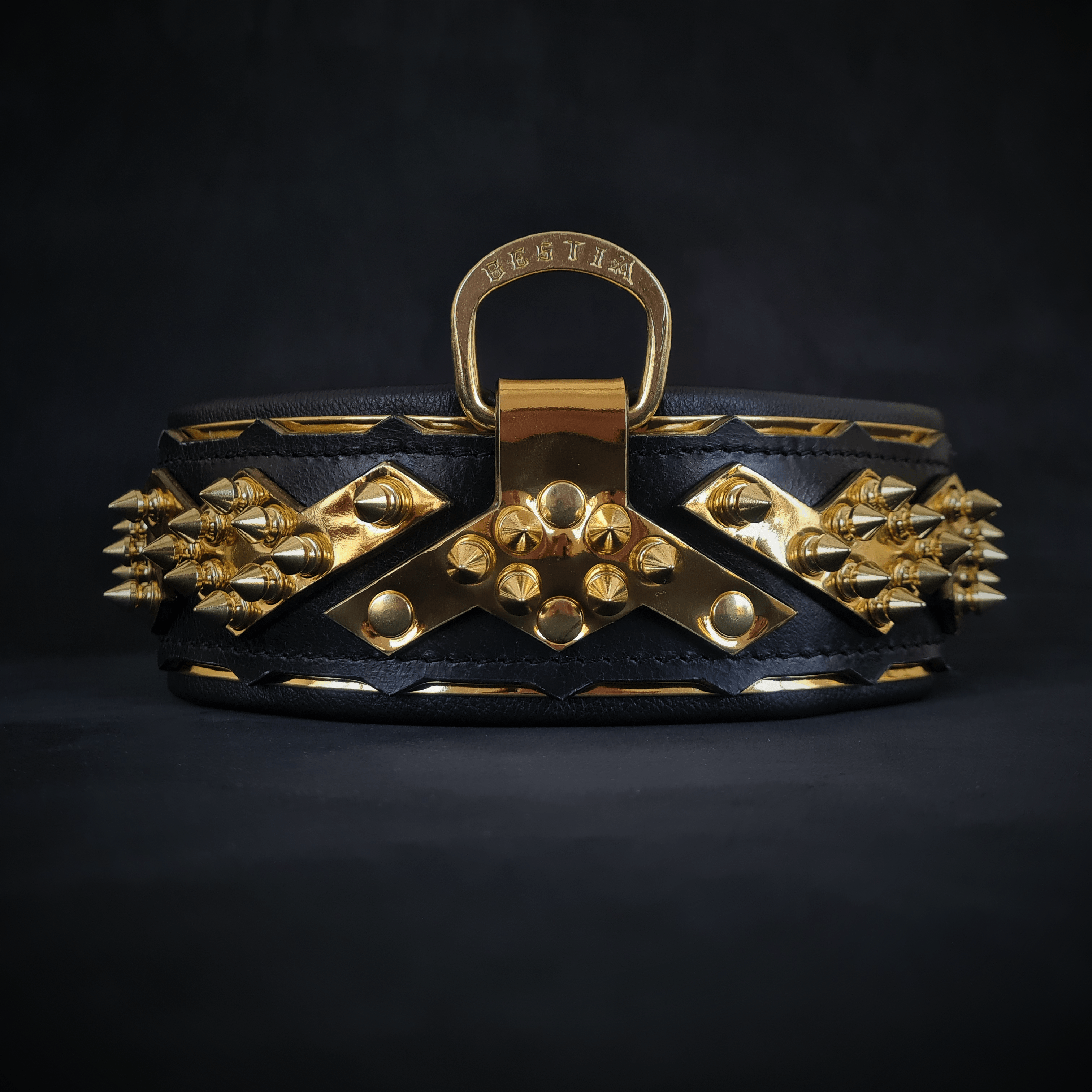 The "Midas" Dog Collar. Gold