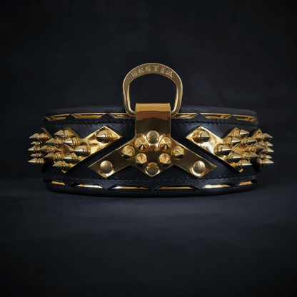 The "Midas" Dog Collar. Gold