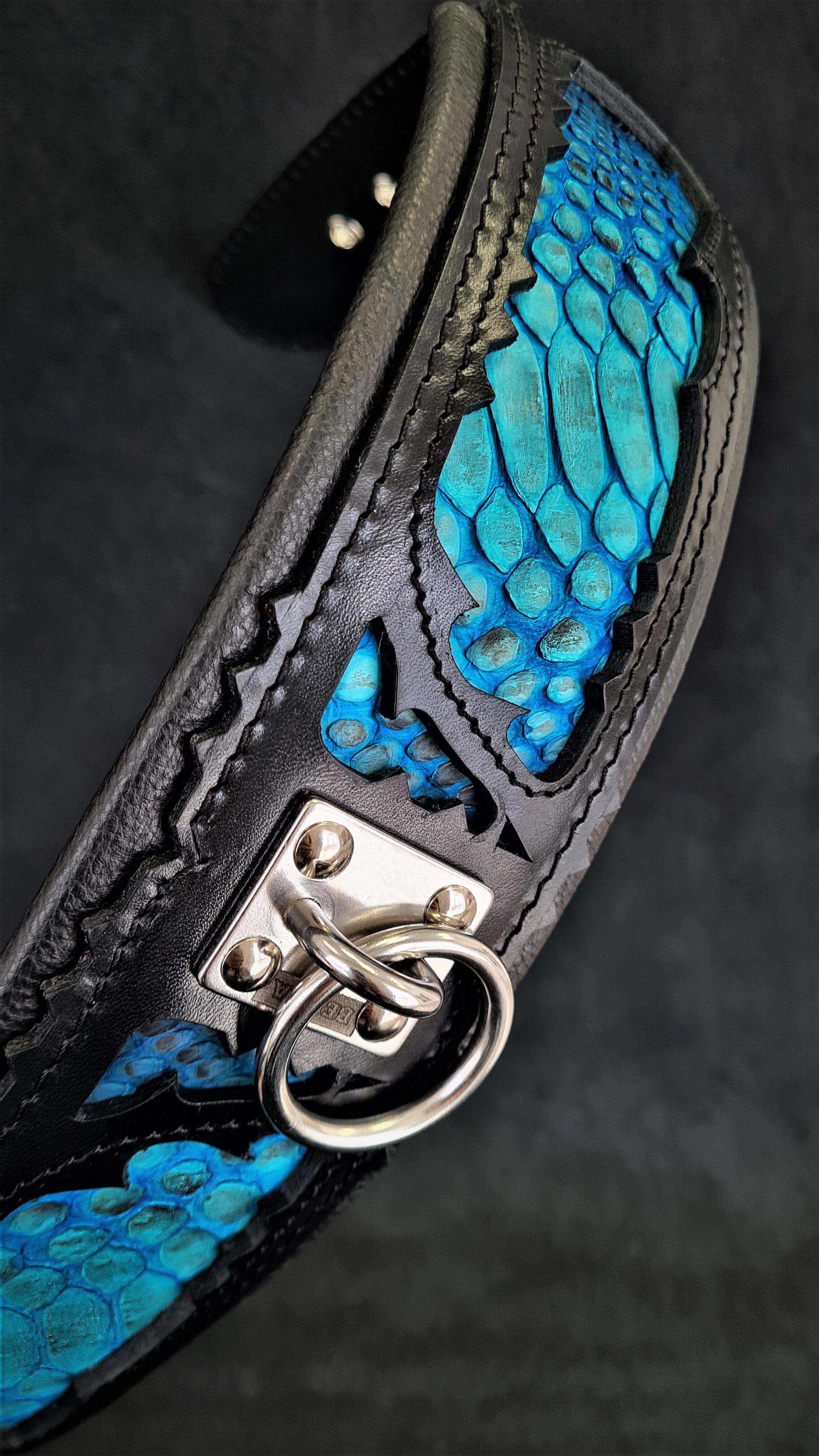 The "Morelia Python" Dog Collar