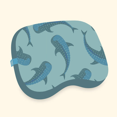 Ballast Beach Pillow