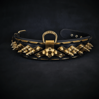 The "Midas" Dog Collar. Gold